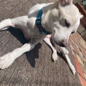 Meet your Posher, Jayden